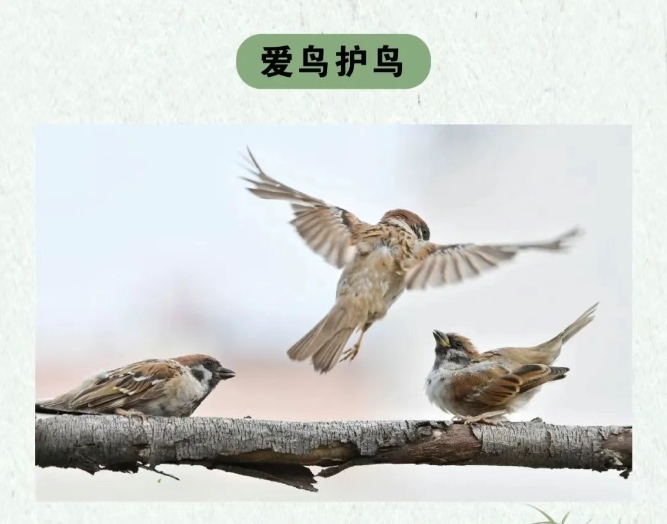 微信截图_20250724155622.png